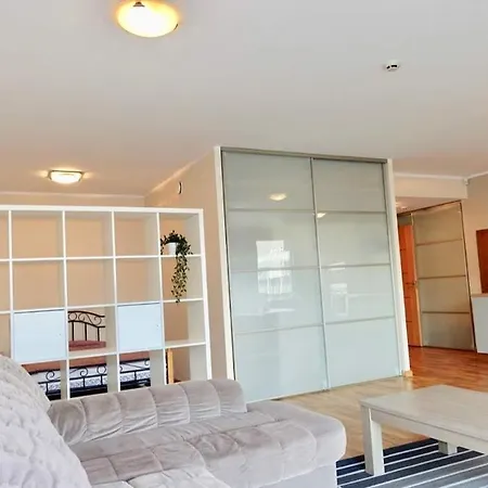 Daily Apartments- Viru Sunny Studio With Balcony Lejlighed *